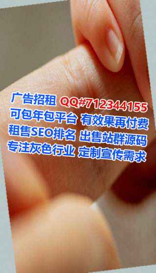 昭平代妈计算机事务所